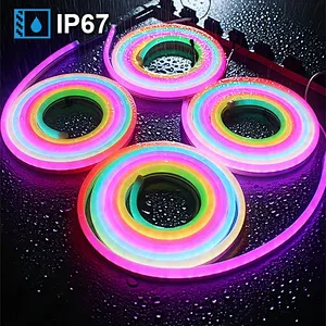 DC12V IP67 SMD5050 WS2811 Smart Control RGB Color-Changing LED Neon Strip
